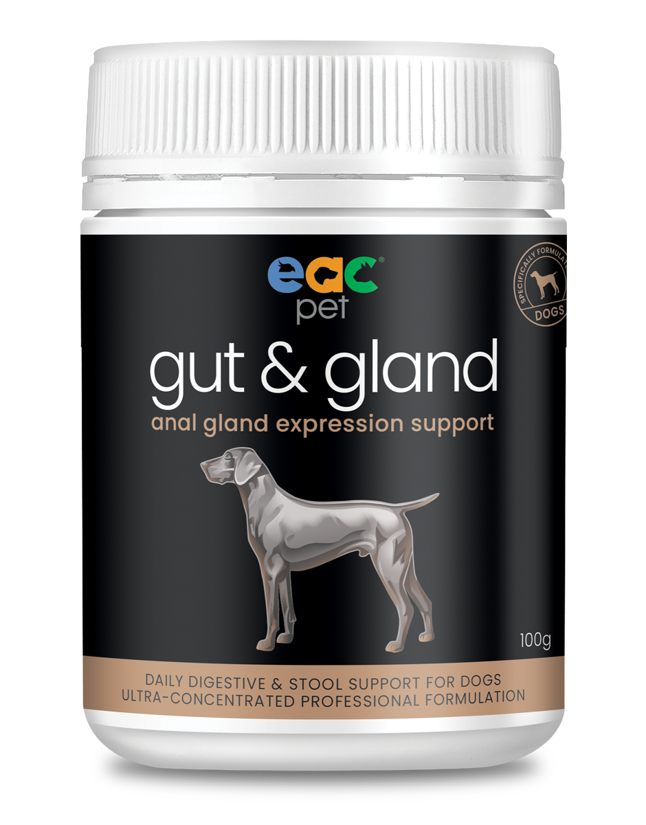 gut & gland Daily Stool Firming & Anal Gland Support for Dogs