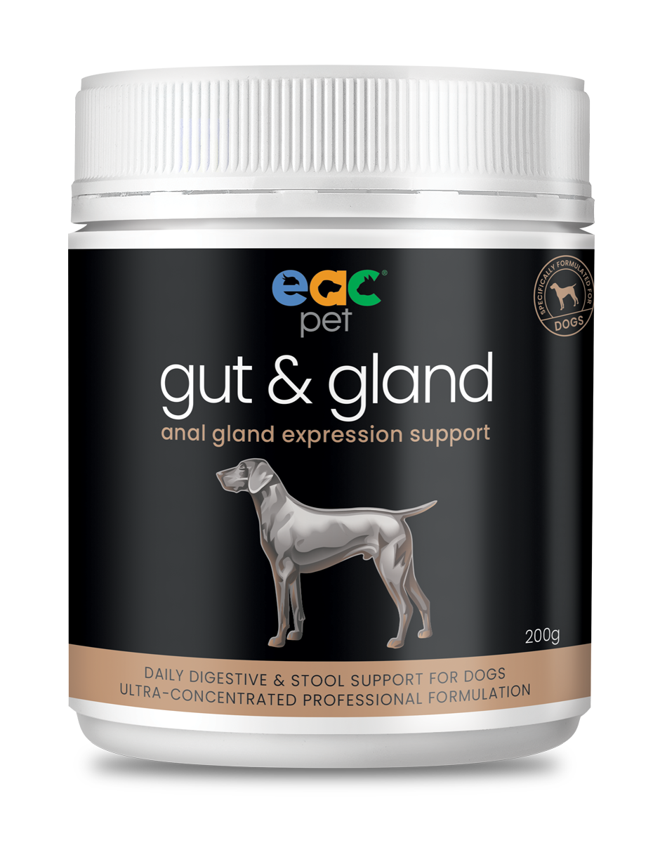 gut & gland Daily Stool Firming & Anal Gland Support for Dogs