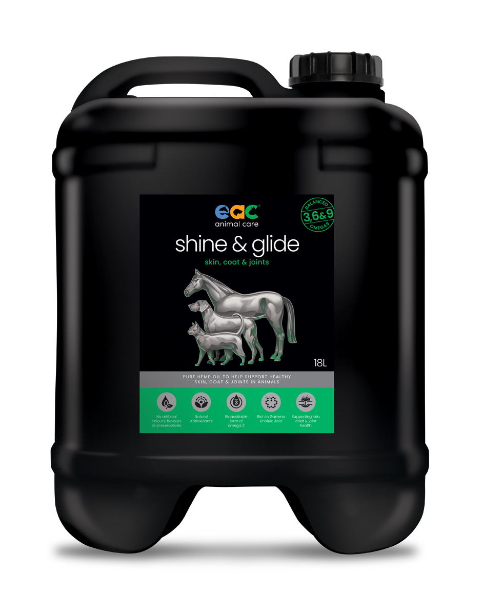 🎁 shine & glide - Pure Natural Cold-Pressed Hemp Oil for Horses, Dogs and Cats (10% off)
