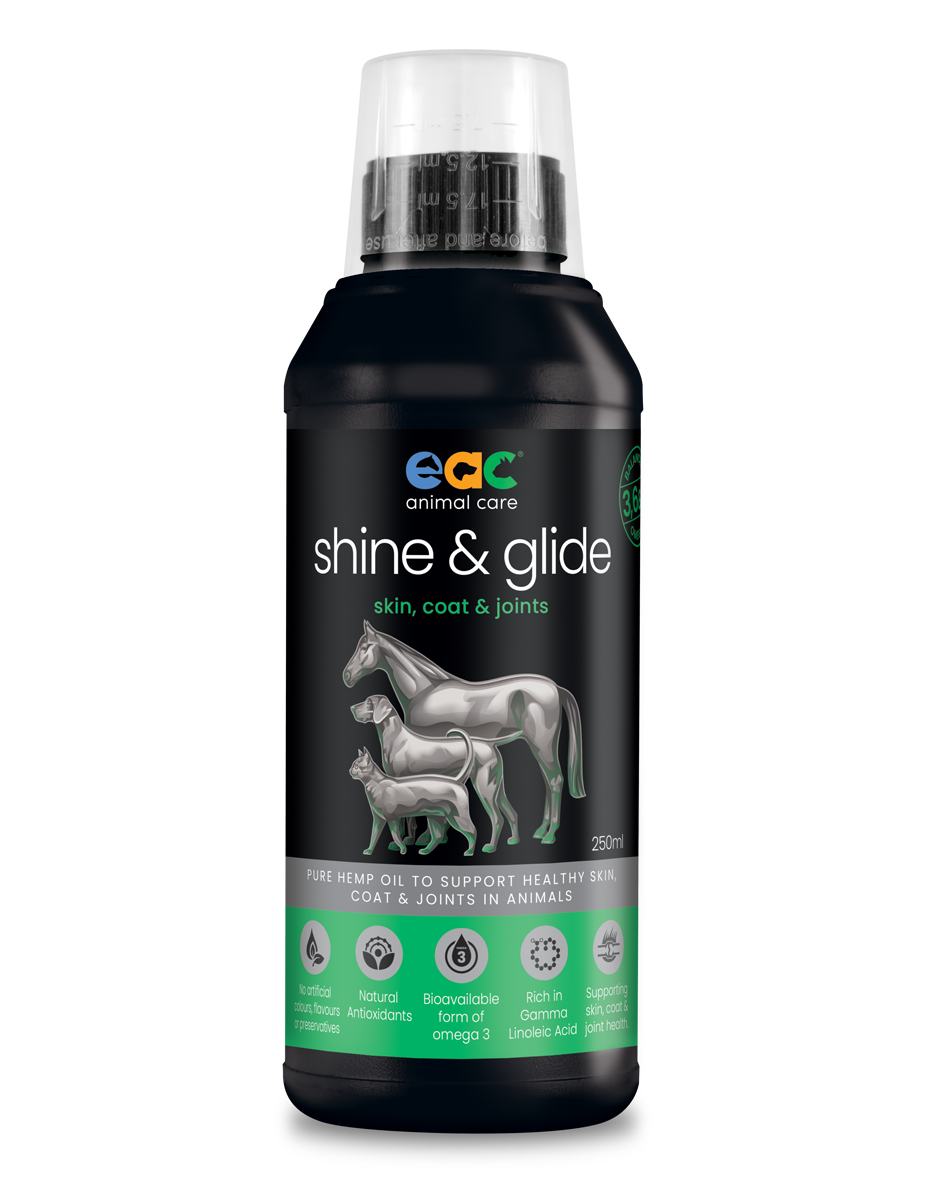 🎁 shine & glide - Pure Natural Cold-Pressed Hemp Oil for Horses, Dogs and Cats (10% off)