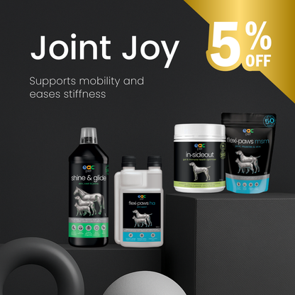 Joint Joy - Total Mobility &amp; Comfort for Senior Dogs &amp; Active Pets