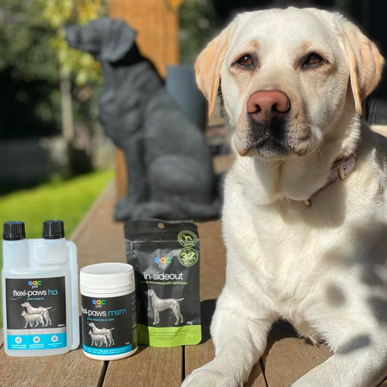 Joint Joy - Total Mobility &amp; Comfort for Senior Dogs &amp; Active Pets