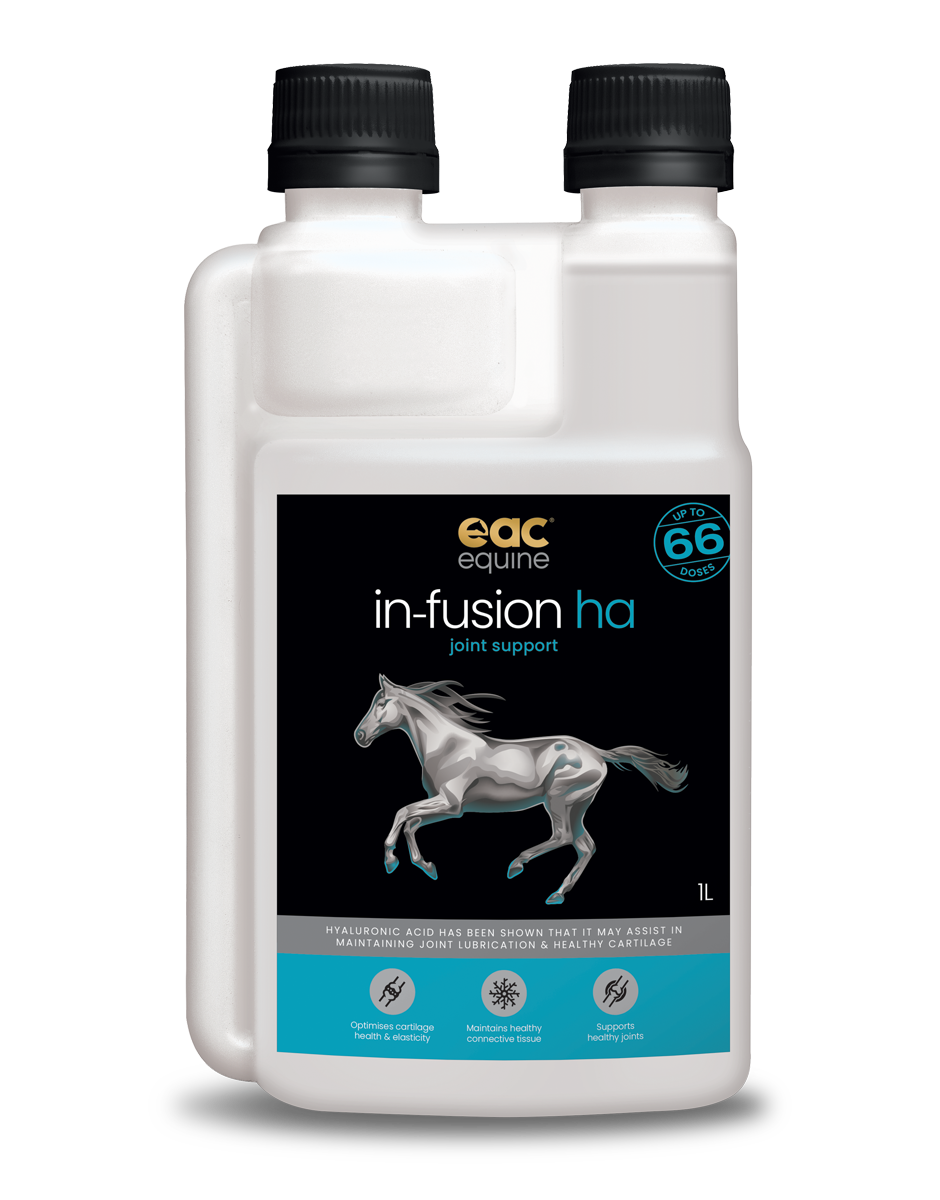 🎁 in-fusion ha - High Quality Hyaluronic Acid Supplement For Horses, Dogs &amp; Cats (10% off)