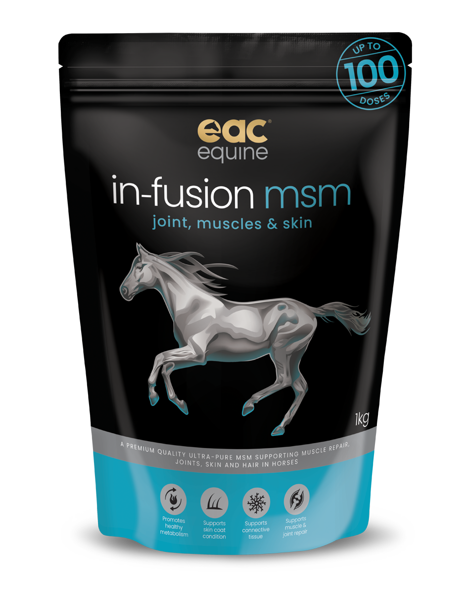 🎁 in-fusion msm - Ultra Pure Methylsulfonylmethane Joint Supplement For Horses, Dogs &amp; Cats (10% off)