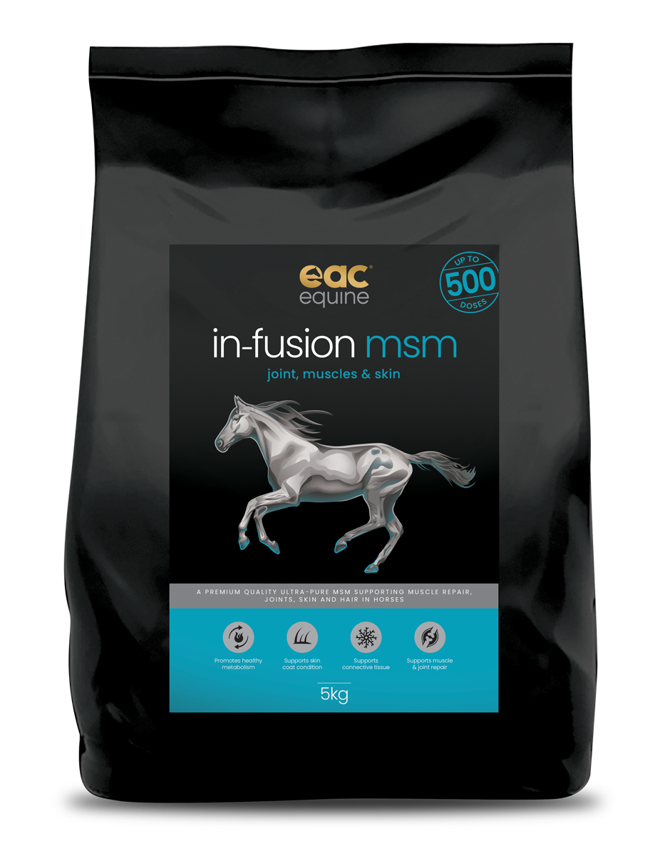 🎁 in-fusion msm - Ultra Pure Methylsulfonylmethane Joint Supplement For Horses, Dogs &amp; Cats (10% off)