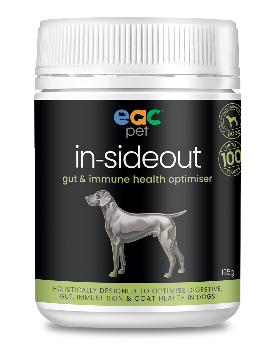 🎁 in-sideout Dog Formula - Pre &amp; Probiotic Natural Nutraceutical Supplement For Dogs (10% off)