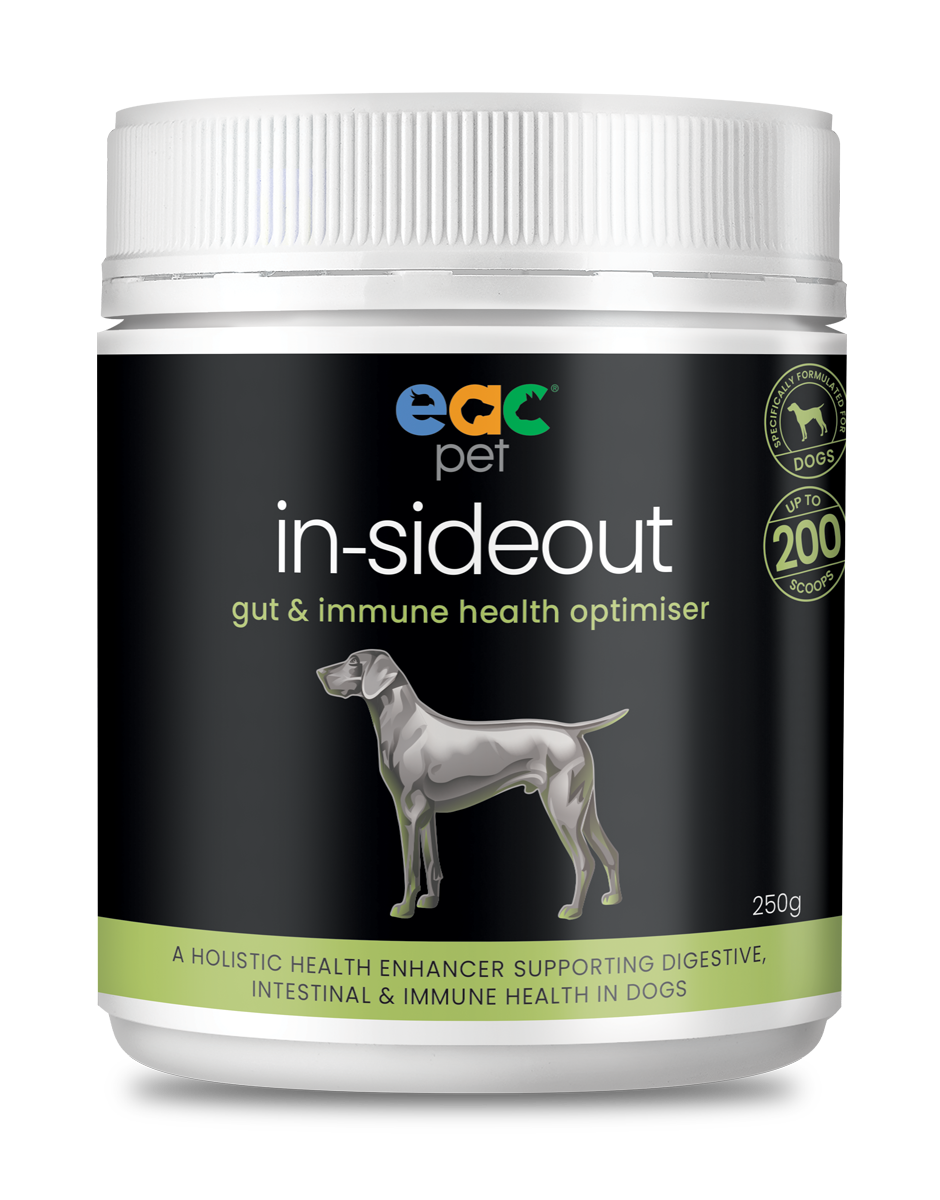 🎁 in-sideout Dog Formula - Pre &amp; Probiotic Natural Nutraceutical Supplement For Dogs (10% off)
