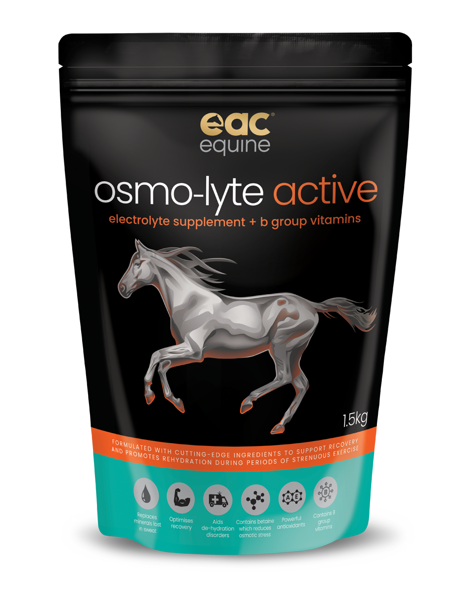 osmo-lyte active - Electrolyte Supplement + B-Group Vitamins For Horses