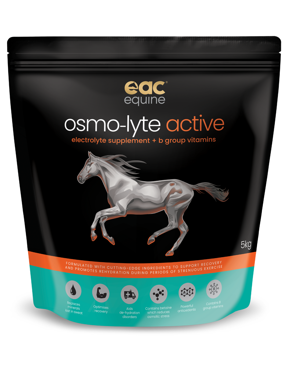 osmo-lyte active - Electrolyte Supplement + B-Group Vitamins For Horses