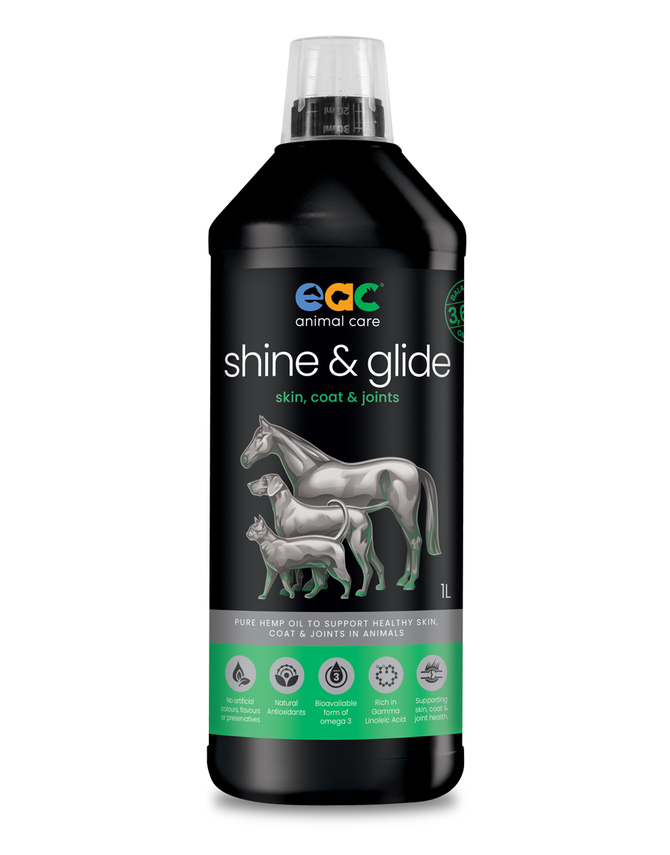 🎁 shine &amp; glide - Pure Natural Cold-Pressed Hemp Oil for Horses, Dogs and Cats (10% off)
