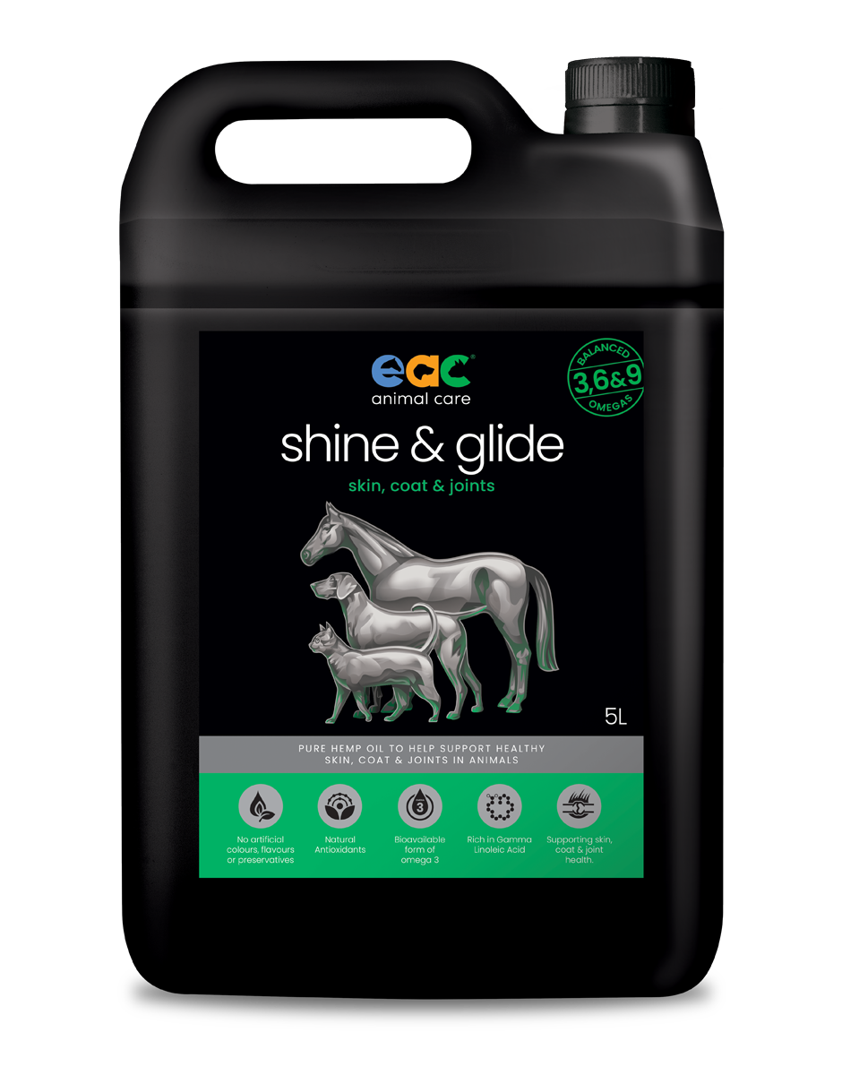 shine &amp; glide - Pure Natural Cold-Pressed Hemp Oil for Horses, Dogs and Cats